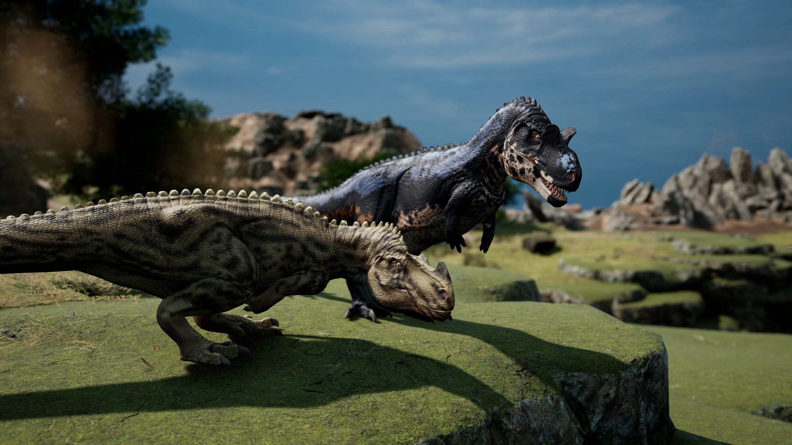 Ceratosaurus Image
