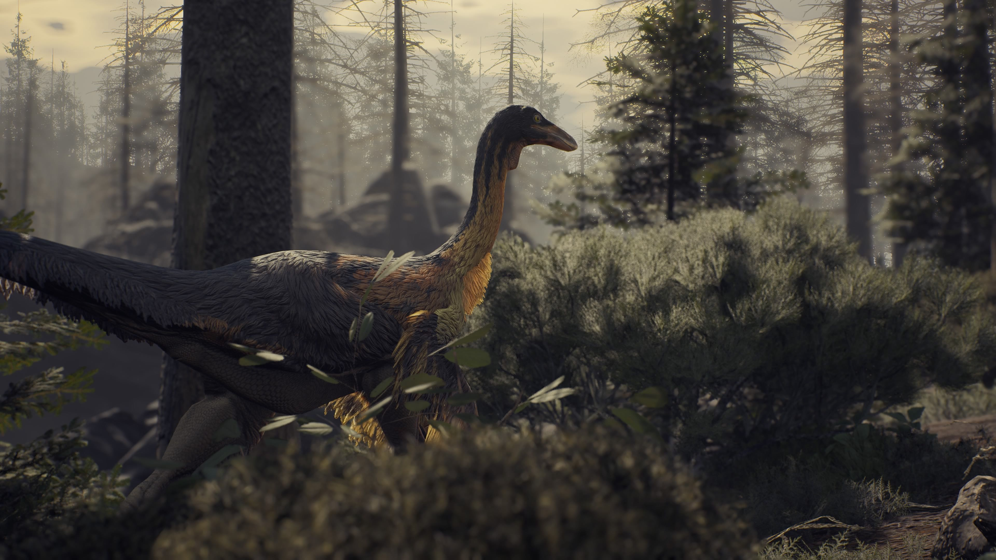 Struthiomimus Image